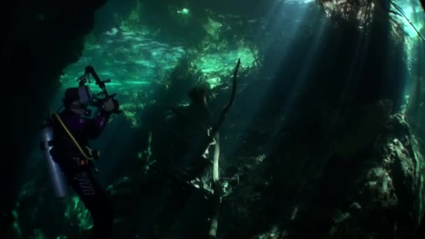 Búvár kamerával a barlangban labirintus víz alatti Yucatan Mexikó cenotes. — Stock videók