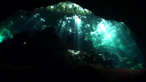 Szépsége barlang víz alatt Yucatan Mexikó cenotes. — Stock videók
