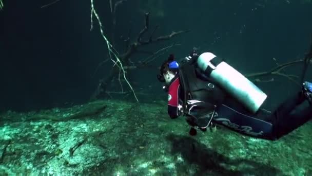 수중의 아름다운 동굴 멕시코 세노테. — 비디오