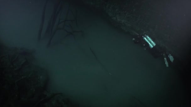 Potápěč nad bahnitou vodou haloklinu v blízkosti kořenů stromů v cenotách v Mexiku. — Stock video