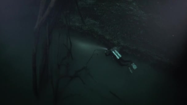 Plonger au-dessus de l'eau boueuse d'halocline près des racines des arbres dans les cenotes au Mexique . — Video