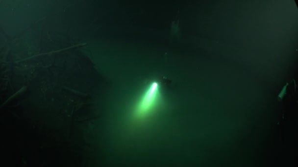 Immergitore sopra acqua fangosa di halocline vicino a radici di albero in cenotes in Messico . — Video Stock