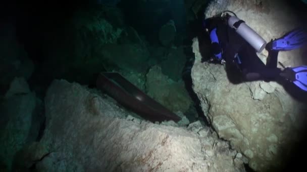 Mergulhadores em caverna de Yucatan subaquático cenotes México. — Vídeo de Stock