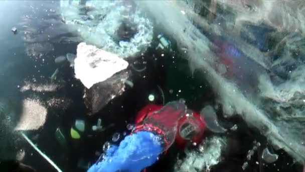 バイカル湖の氷の下で極端なスポーツダイビング. — ストック動画