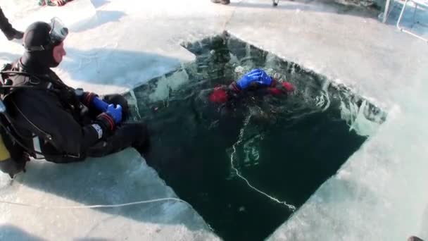 Divers are submerged under water in ice hole of lake Baikal. — Stock Video