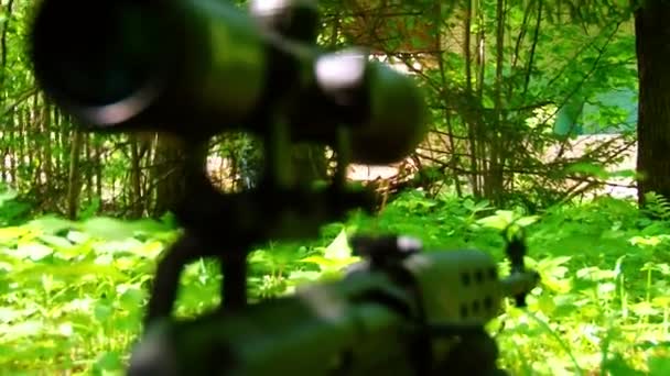 Airsoft csapat készül a játék az erdőben. — Stock videók
