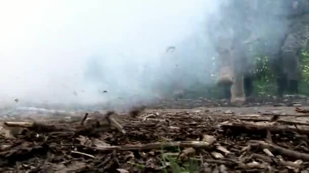 Airsoft jucător în uniformă militară cu arme în pădure . — Videoclip de stoc