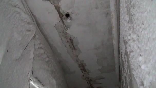 Nieve en el corredor de la casa abandonada fantasma ciudad de Gudym en el extremo norte de Rusia . — Vídeos de Stock