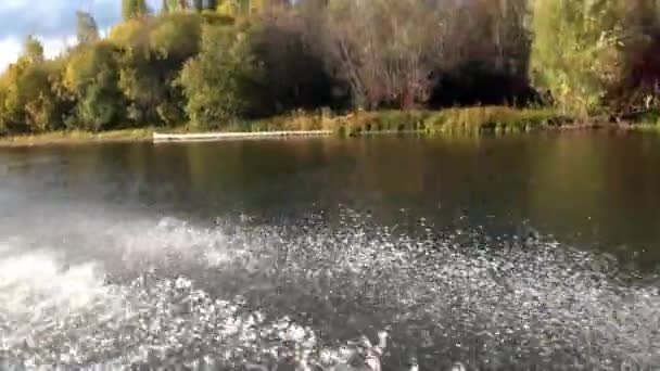 Imbarcazione a motore taglia superficie d'acqua su Lena Rive in Siberia della Russia . — Video Stock