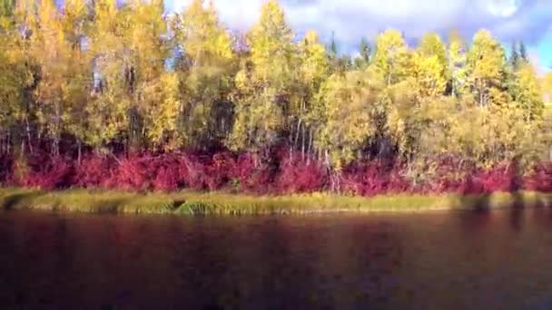 Río Lena en Siberia . — Vídeo de stock