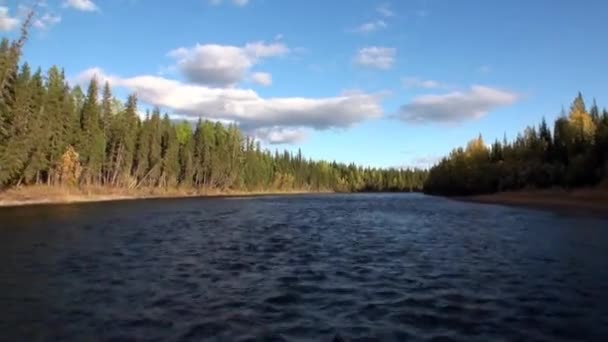 Prachtige natuur van Lena Rivier in onbewoonde taiga van Siberië Rusland. — Stockvideo