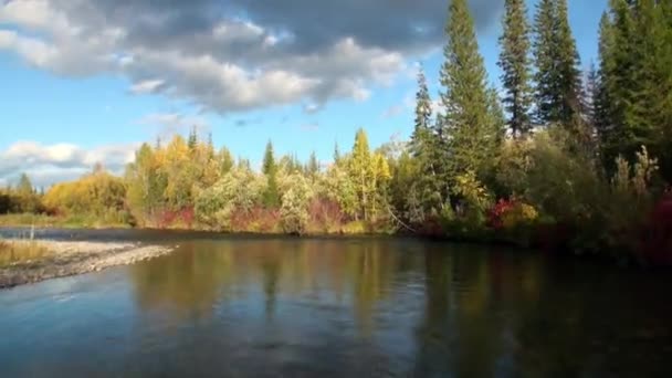 Arbres d'automne sur la rive de la rivière Lena en Sibérie .