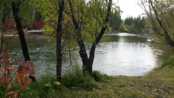 Ποταμός Lena στη Σιβηρία. — Αρχείο Βίντεο