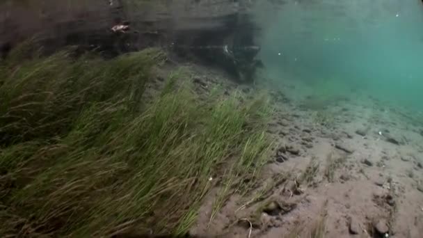 Underwater landscape in sunlight in water of Lena River in Siberia of Russia. — Stock Video