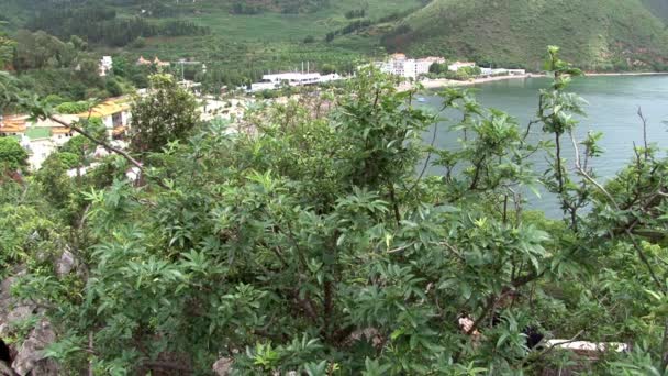 Växter vid kusten av Fuxian Lake på bakgrunden landskap av berg och dimma. — Stockvideo