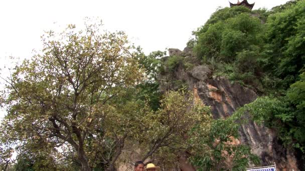 윈난 성에 있는 푸시 안 호수의해 안 의나무들. — 비디오