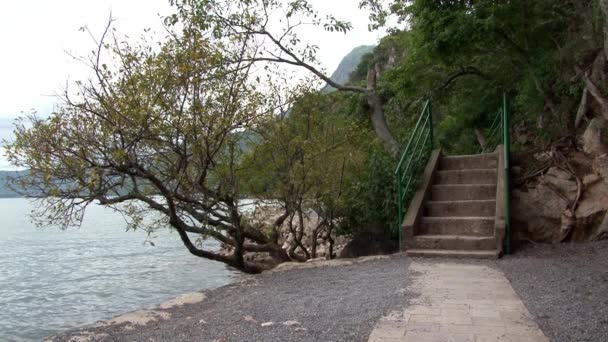 Träd på stranden av Fuxian Lake i Yunnan-provinsen Kina. — Stockvideo