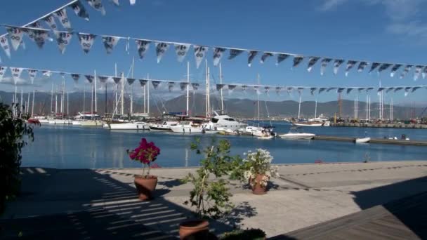 Les gens dans le port de bateaux de plaisance, bateaux et yachts. — Video