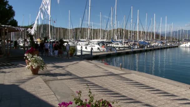 Les gens dans le port de bateaux de plaisance, bateaux et yachts. — Video