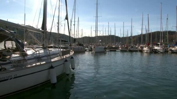 Port de bateaux de plaisance, bateaux et yachts. — Video