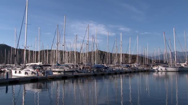Bateaux de plaisance, bateaux et yachts dans le port . — Video