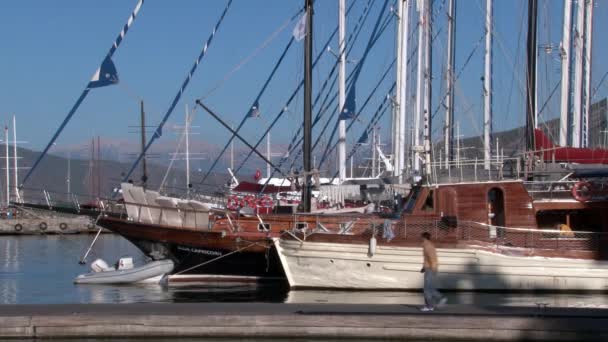 Hafen der Freizeitboote, Boote und Yachten. — Stockvideo