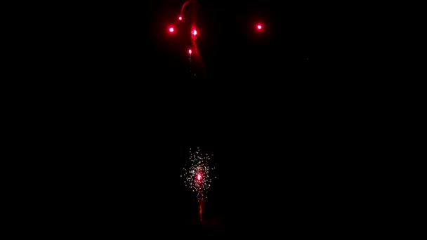 Feuerwerk auf schwarzem Hintergrund, um eine Reihe von Salutschüssen zu erzeugen. — Stockvideo