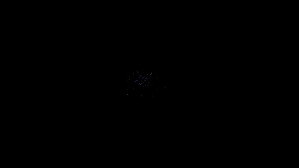Élément de feu d'artifice multicolore sur fond noir pour créer un ensemble de saluts.