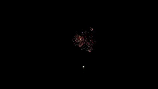 Élément de feu d'artifice multicolore sur fond noir pour créer un ensemble de saluts.