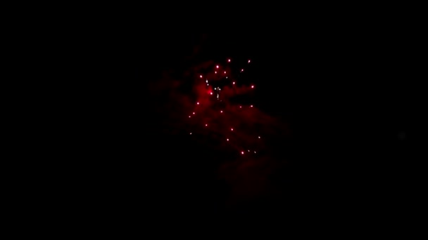 Feu d'artifice du festival sur fond noir pour créer un ensemble de saluts. — Video