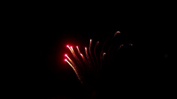 Elemento de fuegos artificiales multicolores sobre fondo negro para crear un conjunto de saludos. — Vídeo de stock