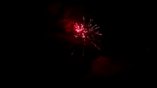 Elemento de fuegos artificiales multicolores sobre fondo negro para crear un conjunto de saludos. — Vídeos de Stock