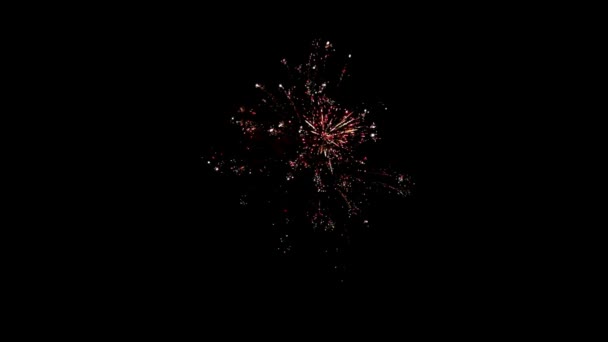 Elemento di fuochi d'artificio multicolore su sfondo nero per creare una serie di saluti. — Video Stock