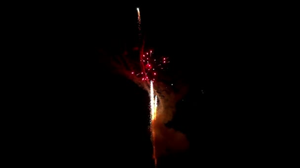 Feu d'artifice du festival sur fond noir pour créer un ensemble de saluts. — Video