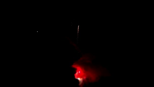 Élément de feu d'artifice multicolore sur fond noir pour créer un ensemble de saluts. — Video