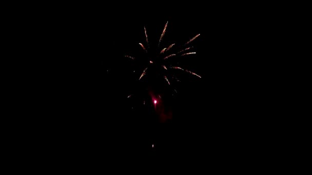 Elemento de fuegos artificiales multicolores sobre fondo negro para crear un conjunto de saludos. — Vídeos de Stock