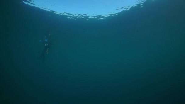 Silueta de buzo con cámara bajo el agua en el lago Baikal . — Vídeos de Stock