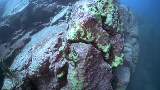 Rocas submarinas en el lago Baikal. — Vídeo de stock