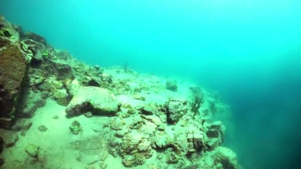 Pierres sous l'eau sur fond de réflexion de la lumière du soleil dans le lac Baïkal . — Video