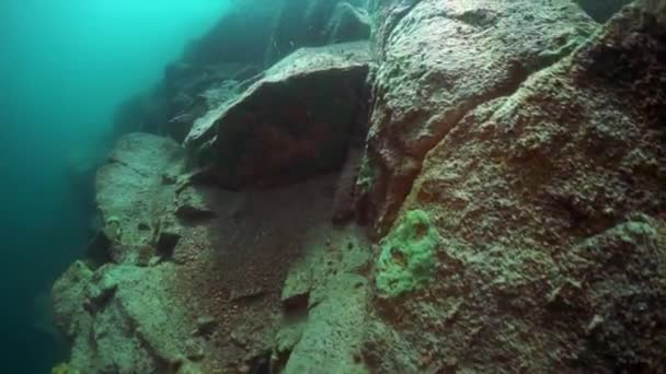 Підводні скелі в озері Байкал.. — стокове відео