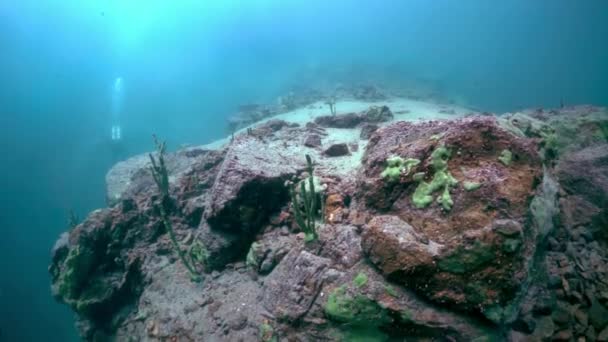 Silueta profesionálního potápěče u kamenů pod vodou v jezeře Bajkal. — Stock video