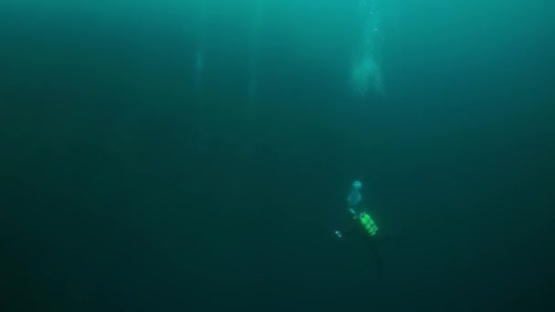 Camarógrafos de buceo con grupo nadando bajo el agua en el lago Baikal . — Vídeo de stock