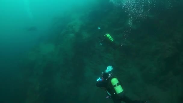 Оператор подводного плавания с группой аквалангистов, плавающих глубоко под водой в озере Байкал . — стоковое видео
