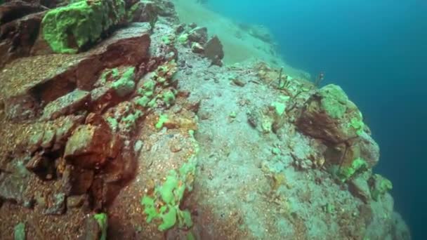 Stenar djupt under vatten i sjön Baikal. — Stockvideo