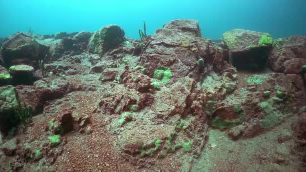 Baykal Gölü 'nün derinliklerinde kayalar.. — Stok video
