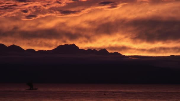 Puesta de sol púrpura escarlata sobre el mar en las islas de la República de Filipinas. — Vídeo de stock