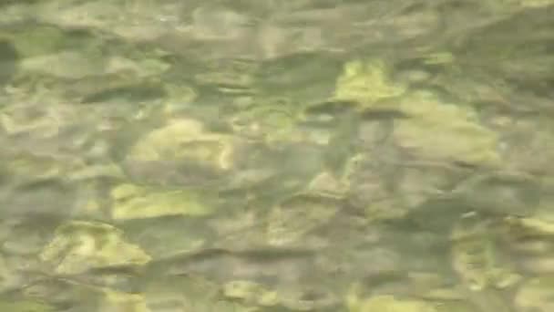 Clear transparent water of lake Baikal. — Stock Video