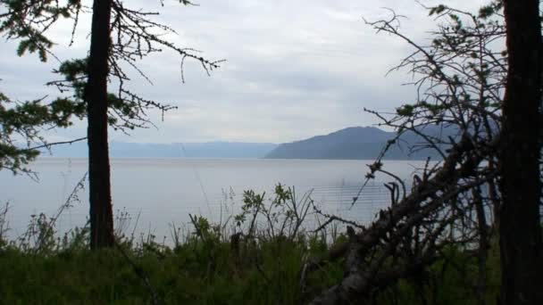 Paisaje natural sobre fondo de árboles verdes en la costa rocosa del lago Baikal. — Vídeos de Stock