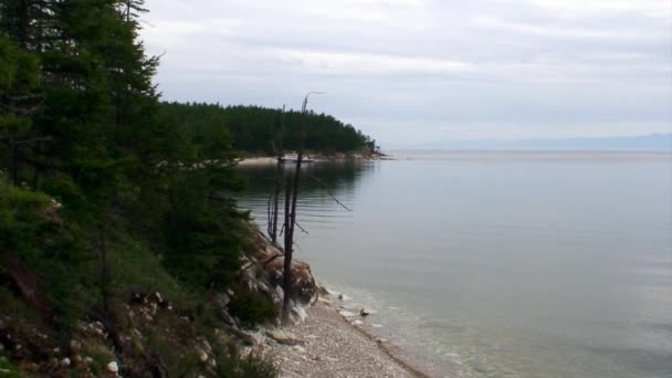 Árboles verdes en la costa rocosa del lago Baikal . — Vídeos de Stock