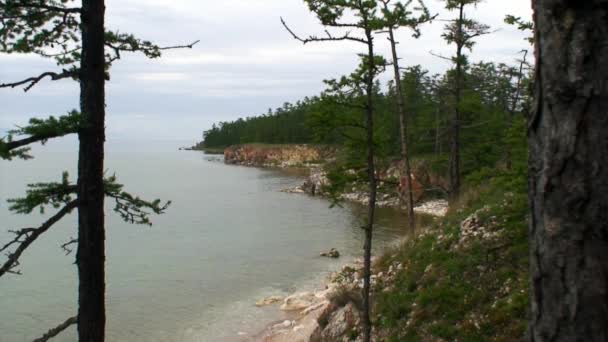 Gröna träd på steniga kusten av sjön Baikal. — Stockvideo
